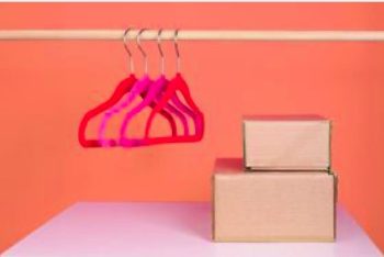 Image 1-24-25 at 1.49 PM